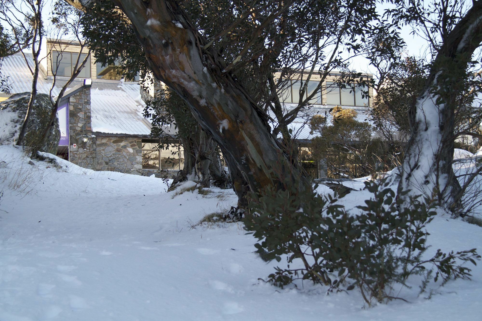 Готель Snowy Gums Smiggin Holes Екстер'єр фото